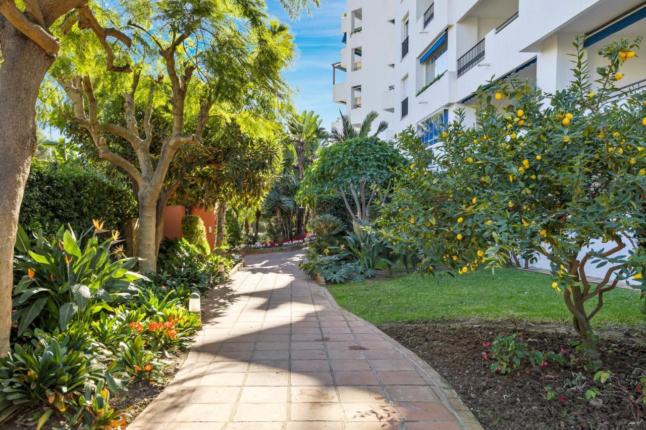 Estudio En Medina Garden